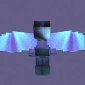 Elytra with rainbow glint