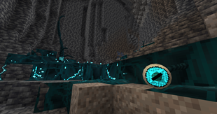 eye