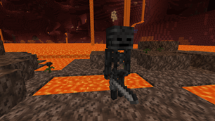 Wither skeletons naturally spawning