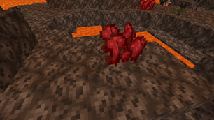 Netherwart