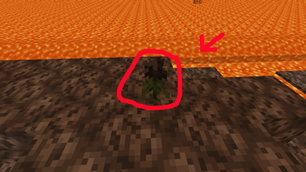 Wither roses spawn if have future mc