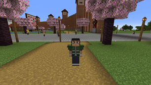 Captura de Tela (269).png