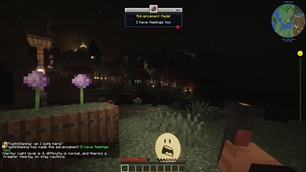 VerityCraft