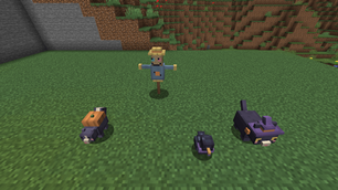 02-companions.png