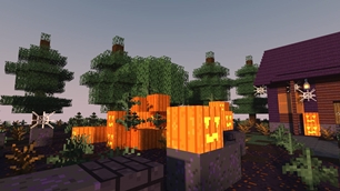 Pumpkin patch