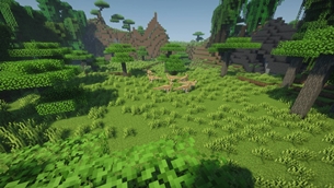 02_Forest.jpg