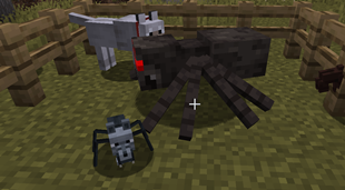 wolf-spider.png