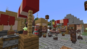 VillagerVariety-3.jpg