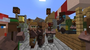 VillagerVariety-5.jpg