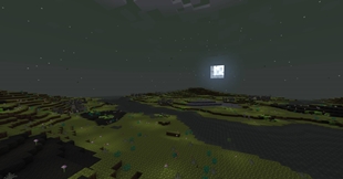 The Slimic world