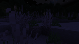 2026-10-20_22.55.15.png