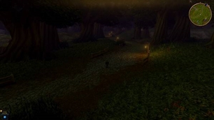 Elwynn Forest 
