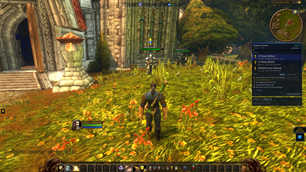 In game addon (full mode)