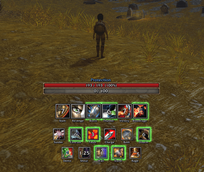 warriorhudprot.png