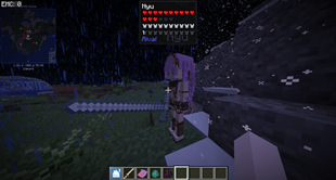 ModelNew