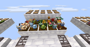 Star Meow Craft