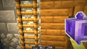 3D Ladders