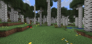 1.21.11 features