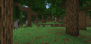 New 1.21.11 forest with leaf litter