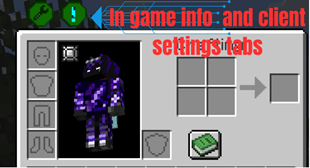 In game info tab and client setings.png