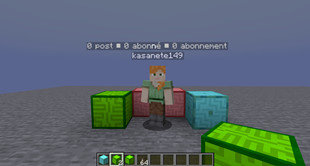 Player in front of the mod blocks, showing his nametag (french)