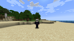 MedalTVMinecraft20261021190009438.png