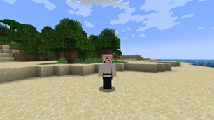 MedalTVMinecraft20261021190016858.png