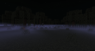 Swamp Ground Fog
