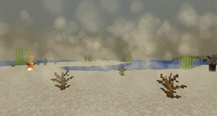 Dust Storm in Desert