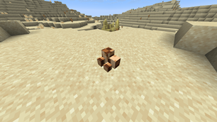 Desert Snake Eggs