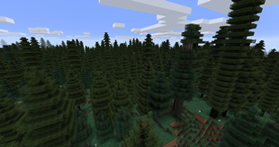Coniferous Forest