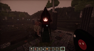 A face in the village