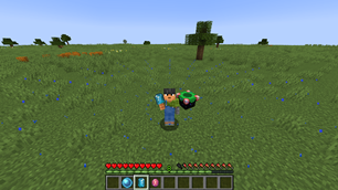 The Tsunami wave with the Empowered Water Stone