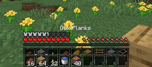 2.0: the second hotbar behind the hotbar