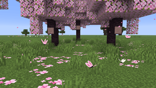 image-attachment_98f83db0-c265-4aff-b9e0-d89f81bfd61d.png