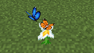 IMG_0291.png