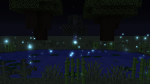 IMG_0288.png