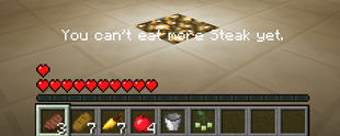 Message when you cant eat more of the food