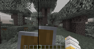 Shield with Pack and Without