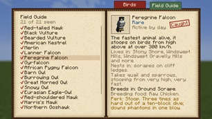 12_journal_guide.png
