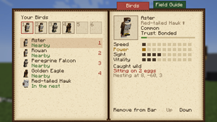 11_journal_birds.png