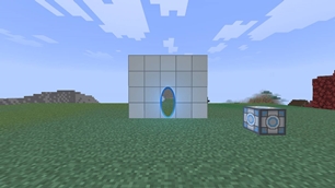 Live portal view
