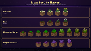From Seed to Harvest