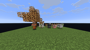 FallShowcase