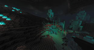 Warped Forest + Soulsand Wastes