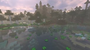 03-swamp-water.jpg