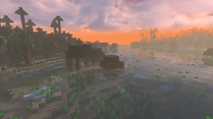 04-swamp-sunset.jpg