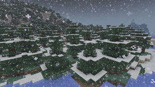 10-snowfall-forest.jpg