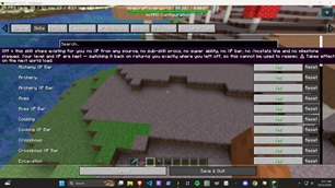 config menu - skills screen