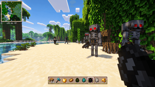 Mobs & Map